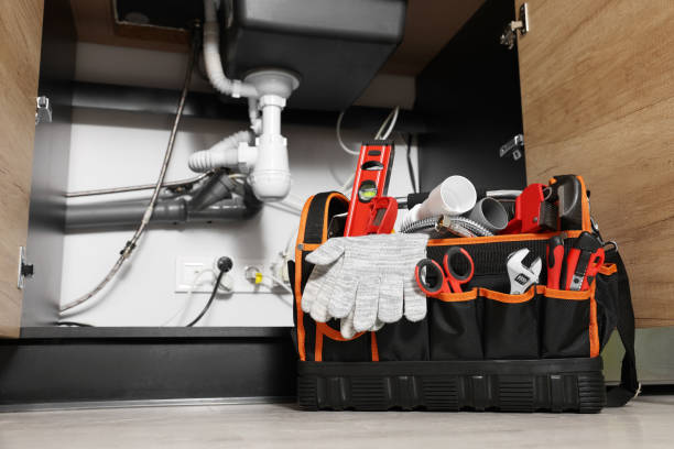 Best Residential Plumbing Services  in Durango, CO